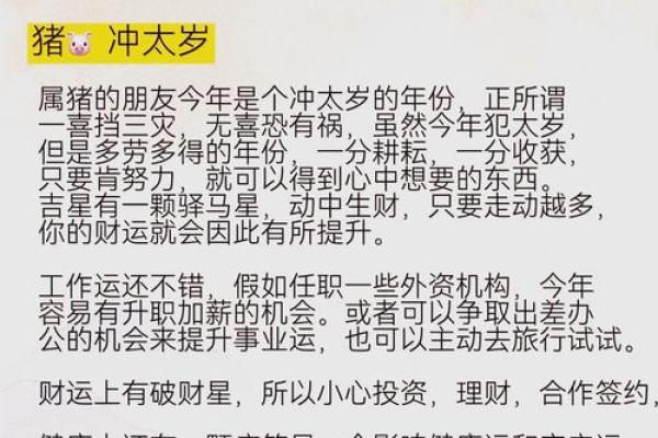 属兔2025本命年运势_2025属兔本命年运势详解如何化解太岁提升运势 属兔2025本命年运势_2025属兔本命年运势详解如何化解太岁提升运势