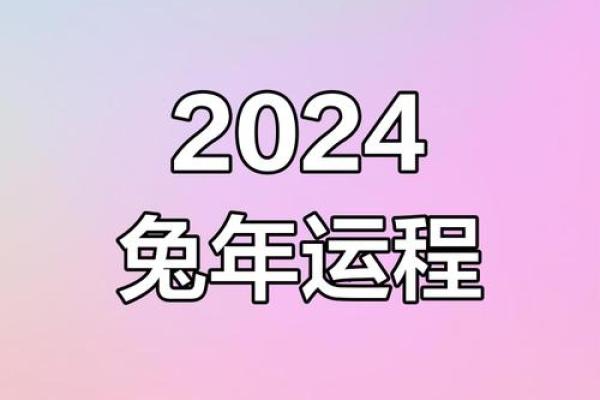 属兔2024年的运势及运程_2024年属兔运势详解全年运程及注意事项