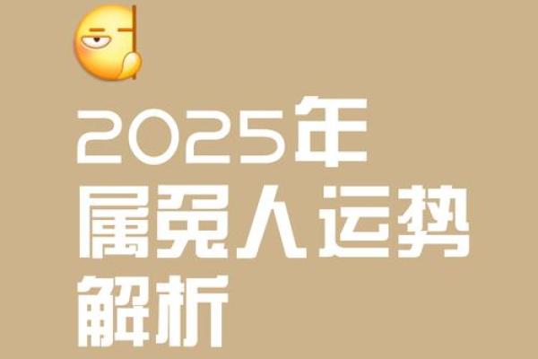 2025年75年属兔运势解析财运事业感情全面预测