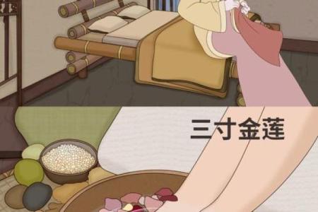 三寸金莲是什么生肖