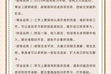 2025年属兔运势详解财运事业感情全面解析