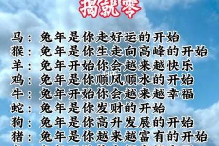 1987年属兔2025年的每月运势及运程_1987年属兔2024年运势及运程每月运程