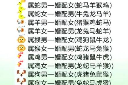 2002属马最佳结婚属相_02属马男人最佳妻子