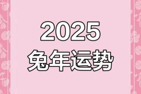 2025年属兔运势详解1975年生人运程全解析