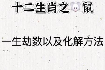 72年属鼠今年运势每月