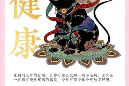 明天属鼠人的运势