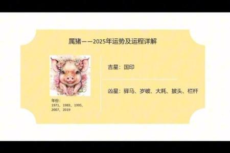 2025年属猪人幸运色揭秘助你运势飙升的秘诀