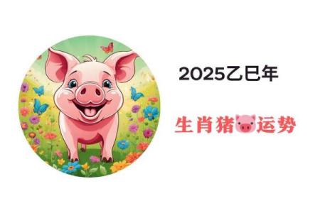 属猪人2025全年运势及运程 2025年属猪人全年运势详解运程大揭秘