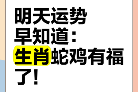 属鸡的蛇年运势2025年运程 2025年属鸡人蛇年运势解析运程详解与吉凶预测
