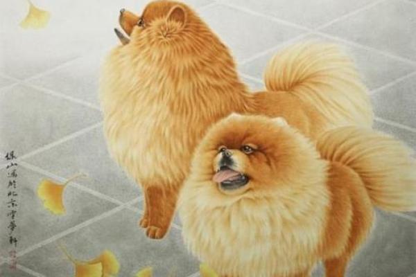 2006属狗2025年的运势及运程_2006属狗2025年运势详解运程走向与关键转折点