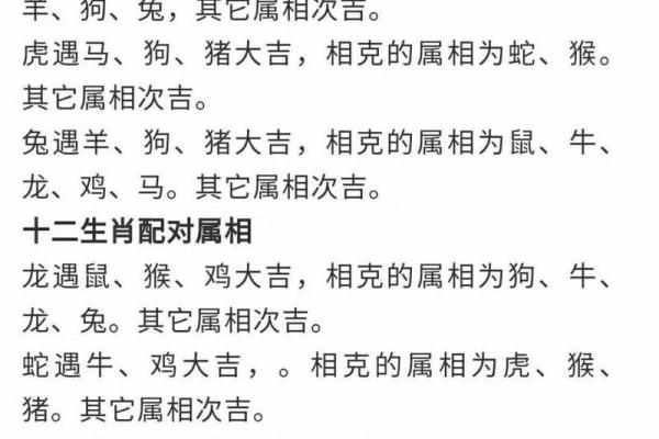 2012年属什么生肖年 生肖龙的婚配表