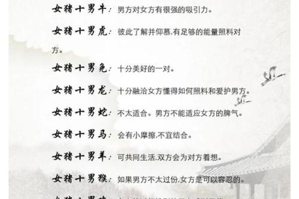 属狗男和属猪女婚姻配对天生一对还是水火不容 属狗男和属猪女婚姻配对天生一对还是水火不容