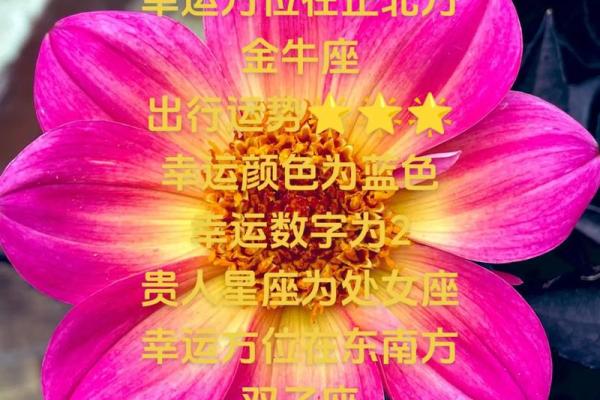 白羊座的永久幸运数字(2021白羊座的永久幸运数字) 白羊座的永久幸运数字(2021白羊座的永久幸运数字)