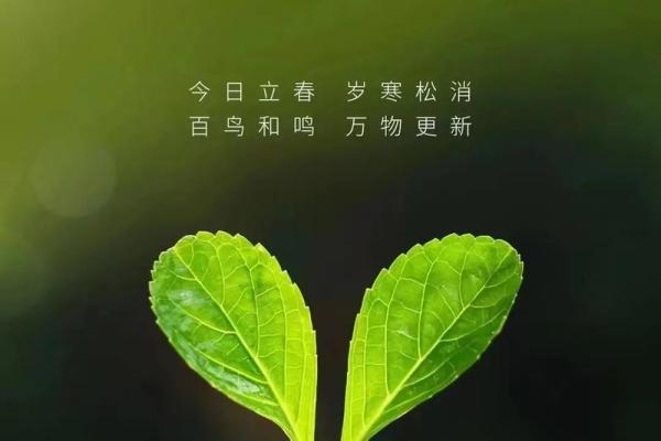 立春那天如何躲春 属相躲春怎么躲 立春那天如何躲春 属相躲春怎么躲