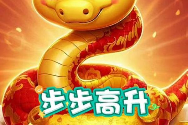 2025属马的今年多大 属蛇2025本命年多大