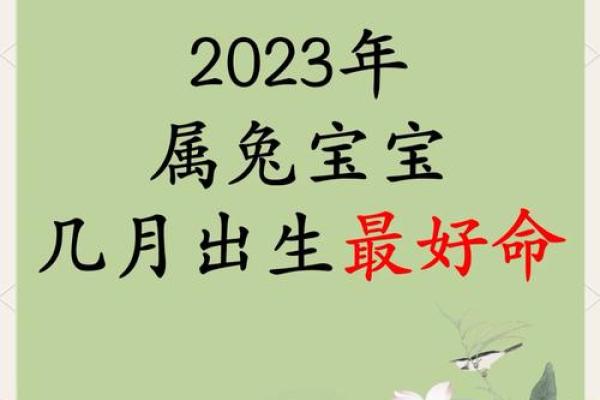 兔几点出生最好命运 最有福的出生时间 兔几点出生最好命运 最有福的出生时间