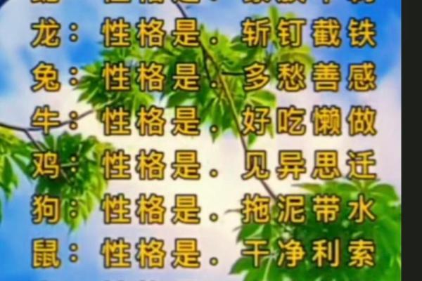 赤子望月是什么生肖 赤子望月是什么生肖