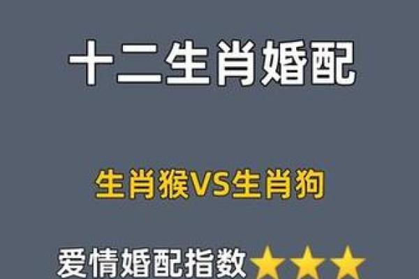 属狗的2025年运势和财运怎么样_属猴的2025年运势和财运怎么样呢女孩子 属狗的2025年运势和财运怎么样_属猴的2025年运势和财运怎么样呢女孩子