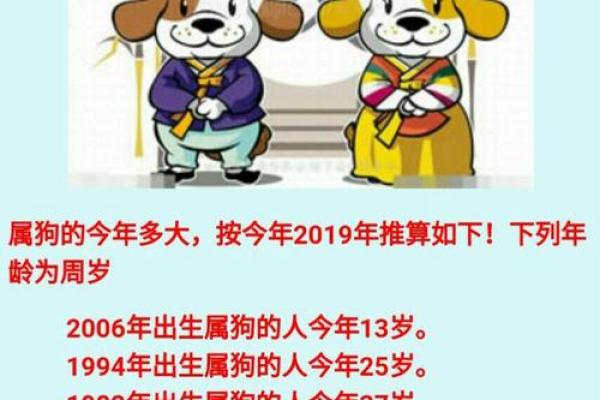 属狗的2025年多少岁_2025年属狗的人多少岁年龄计算全解析 属狗的2025年多少岁_2025年属狗的人多少岁年龄计算全解析