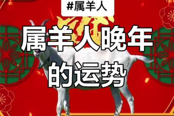 1979年属羊财运方向 1979年属羊财运方向解析如何提升财富运势