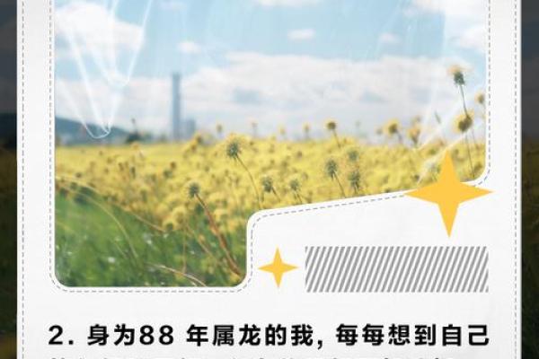 1988年属龙姻缘在哪年_1988年属龙姻缘在哪年发生 1988年属龙姻缘在哪年_1988年属龙姻缘在哪年发生