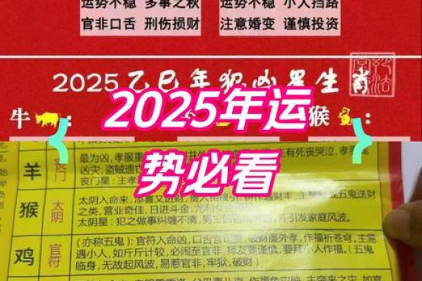 1972年鼠女2025年运势 1972年鼠女2025年运势