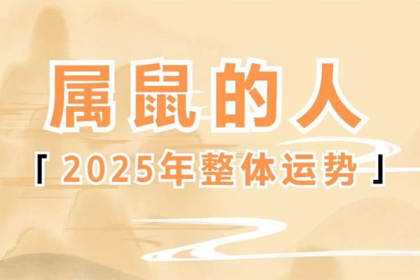 鼠年运势2025年运程 鼠年运势2025年运程