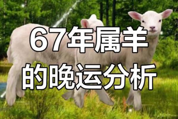 1967年属羊人2025年运势 1979年属羊2025年运势及运程详解