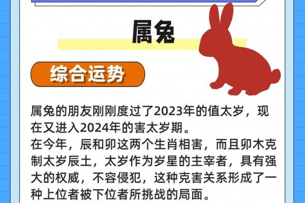 属兔2025虚岁多大 2025年属兔人虚岁多大详细解析年龄计算方法 属兔2025虚岁多大 2025年属兔人虚岁多大详细解析年龄计算方法