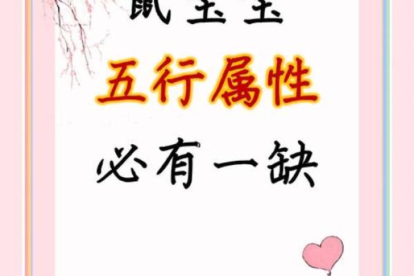 2020年鼠属什么五行 2020属生肖鼠什么命 2020年鼠属什么五行 2020属生肖鼠什么命