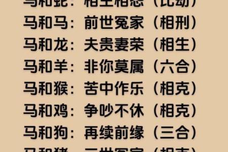 2002年属马的婚姻状况怎么样_02年的马正缘在哪一年