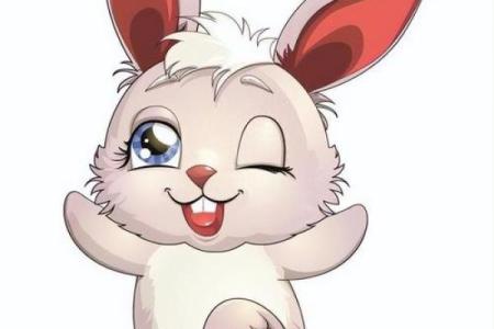 柔情似水是什么生肖