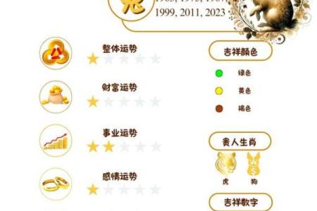 属兔今年多少岁2025_属兔今年2021年多大