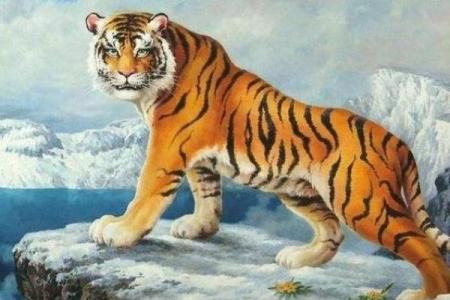 属虎的男孩出生吉日 农历初三的生肖虎才华横溢