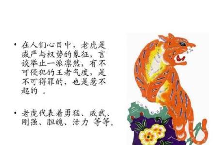 暗无天日打一准确生肖