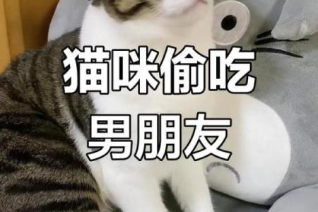 属狗女为什么有男友了还想去再勾搭一个