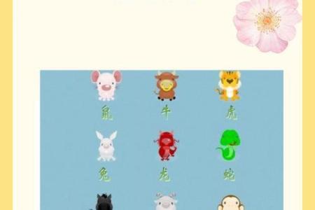 属兔2025年虚岁多大_2025年属兔人虚岁多大详细年龄计算指南