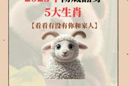 1972年鼠男2025年每月运势完整版