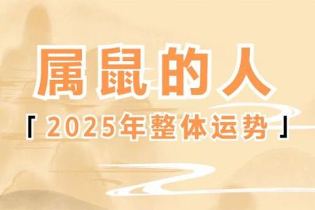 鼠年运势2025年运程