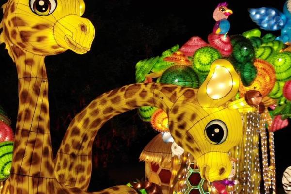 五光十色打一生肖 五光十色打一生肖