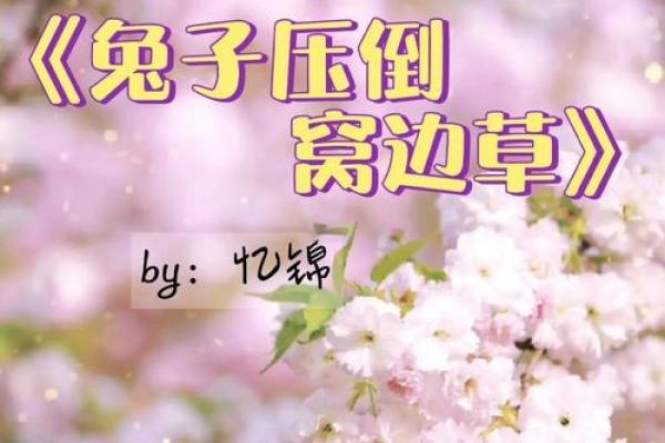 青梅竹马指什么生肖 青梅竹马指什么生肖