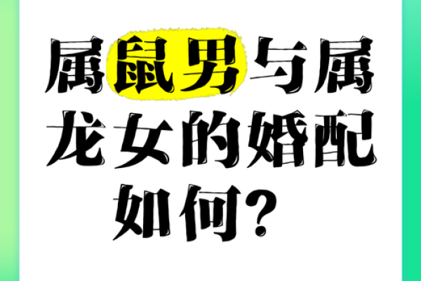 九六年属鼠男孩的婚配 一家人其乐融融 九六年属鼠男孩的婚配 一家人其乐融融