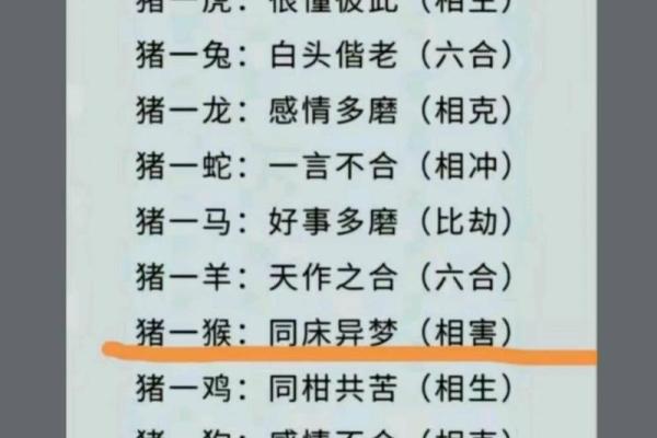 1988年2月12日出生属龙还是属兔生肖解析 1988年2月12日出生属龙还是属兔生肖解析