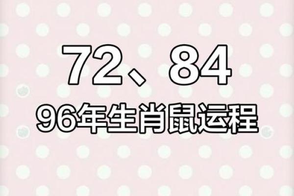 1984年2025年属鼠人感情运势 1984年2025年属鼠人感情运势