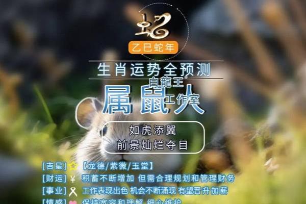 1972年属鼠人2025年全年运势 1972年属鼠人2025年全年运势