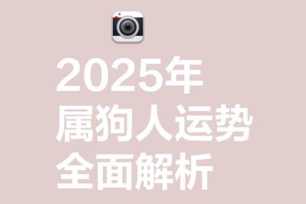 属狗运势2025_2025年属狗运势详解财运事业爱情全面解析 属狗运势2025_2025年属狗运势详解财运事业爱情全面解析