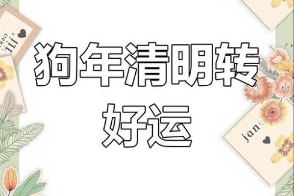 2007年属狗2025年运势及运程_2007年属狗男孩的命运 2007年属狗2025年运势及运程_2007年属狗男孩的命运