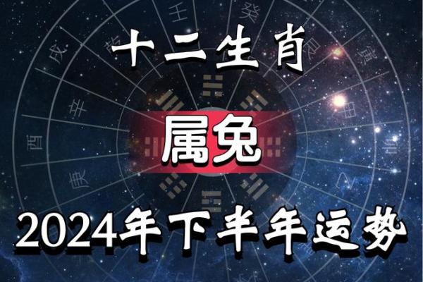 2011年属兔男孩2025年运势及运程_2025属兔大忌颜色 2011年属兔男孩2025年运势及运程_2025属兔大忌颜色