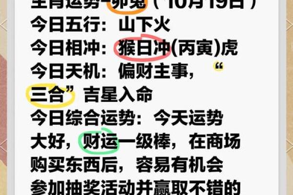 2025年属兔人的全年运势详解1987 75兔人2025年运势运程 2025年属兔人的全年运势详解1987 75兔人2025年运势运程