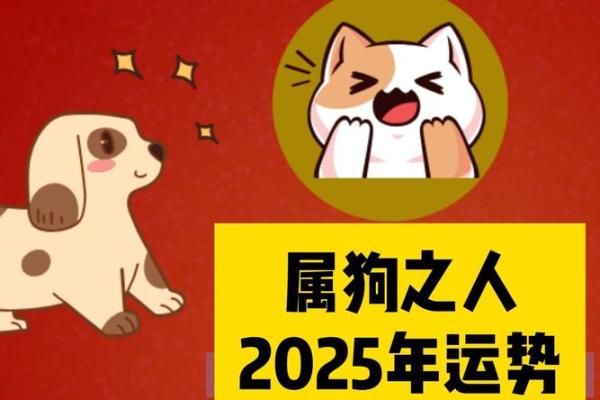 2025属狗运势 2025年属狗人运势详解财运事业爱情全解析